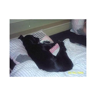 Luna-in-meinem-bett