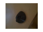 Eine-schnecke-alleine