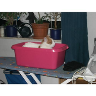 Sammy-liebt-besondere-plaetze-2