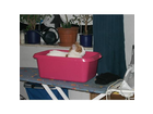 Sammy-liebt-besondere-plaetze-2