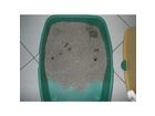 Die-volle-toilette