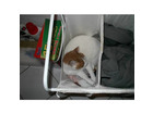 Sammy-liebt-bersondere-plaetze-1