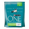 Purina-one-indoor