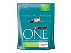 Purina-one-indoor