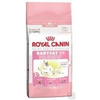 Royal-canin-kitten-34