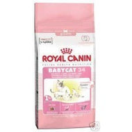Royal-canin-kitten-34