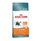 Royal-canin-hair-skin-33-10-kg