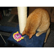 Puppi-und-die-whiskas-knuspertaschen-mit-huhn-und-kaese