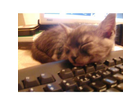Aber-die-tastatur-ist-auch-nicht-unbequem