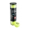 Wilson-tennisball-dtb-ti