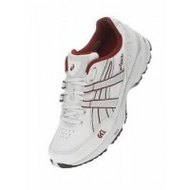 Asics-gel-odyssey-herren