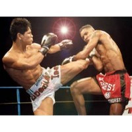 Thaiboxen