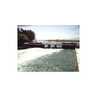 Struga-am-ohridsee