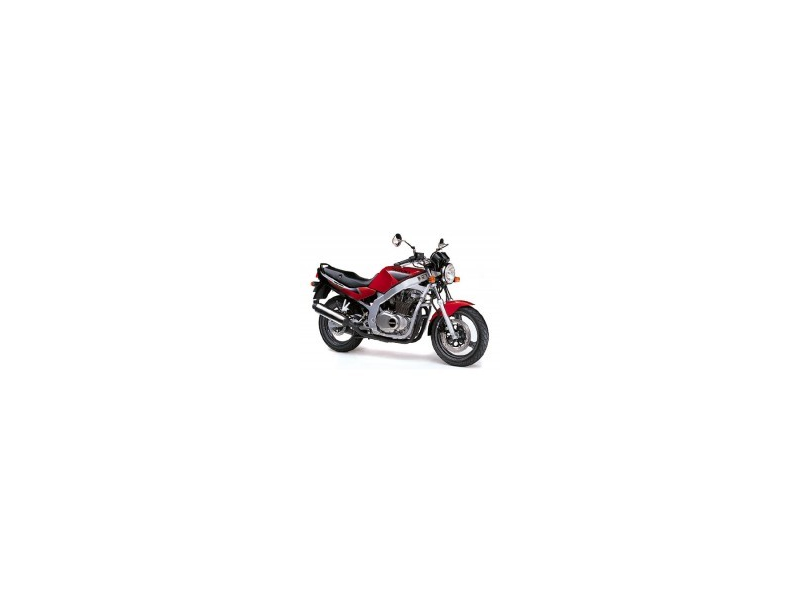 Suzuki GS 500 E - Testberichte und Eigenschaften bei yopi.de