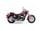 Kawasaki-vn800-classic