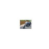Kawasaki-vn800-classic