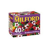 Milford-brombeere-himbeere