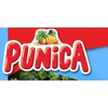 Punica-tea-fruit-cool-cassis