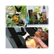Das-playboy-vip-parfum