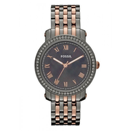 Fossil-emma-es3115