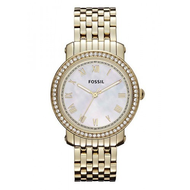 Fossil-emma-es3113