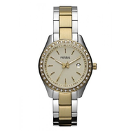 Fossil-es3106-stella-mini