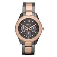 Fossil-stella-es3100