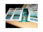Quackys-pantene-test-teil-9