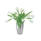 Blomus-vase-double-wall