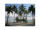 Hotel-barcelo-bavaro-beach