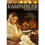 Kaminfeuer-dvd