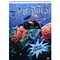 Aquarium-dvd