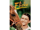 Flicka-dvd-kinderfilm