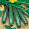 Zucchini-samen