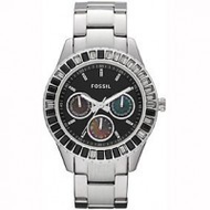 Fossil-stella-es2957