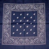 Bandana-bandana-paisley