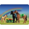 Playmobil-3114-2-pferde-und-fohlen