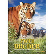 Zwei-brueder-dvd-abenteuerfilm