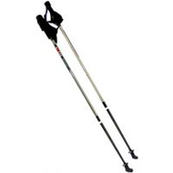 Axess-nordic-walking-stoecke