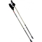 Axess-nordic-walking-stoecke