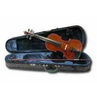 Stentor-violine-student-ii