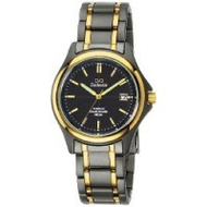 Q-q-armbanduhren-titan