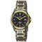 Q-q-armbanduhren-titan