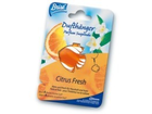 Brise-dufthaenger-citrus-fresh