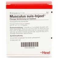 Heel-musculus-suis-injeele-10-st