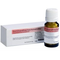 Dr-reckeweg-co-arnica-d6-globuli-10-g