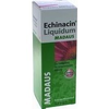 Madaus-echinacin-saft