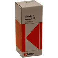 Kattwiga-synergon-13-aesculus-n-tropfen