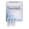 Heel-traumeel-s-ampullen-10-st