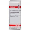 Dhu-equisetum-hiemale-d12-globuli-10-g